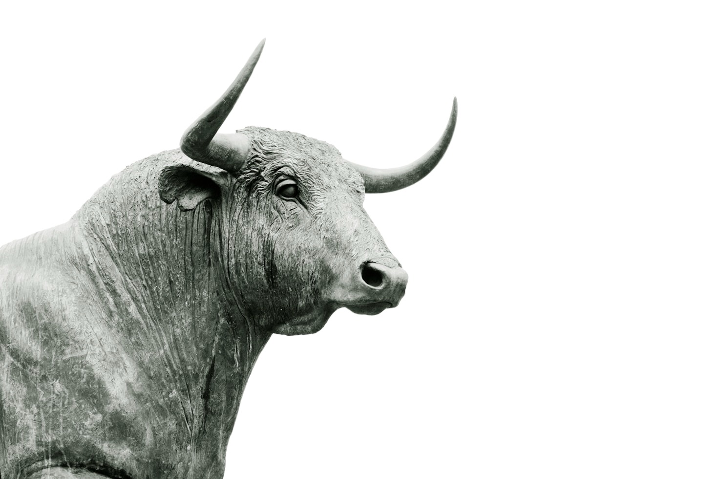Tipps für den erfolgreichen Einstieg ins Trading